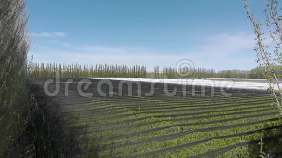 农业生产鸟瞰图视频的预览图