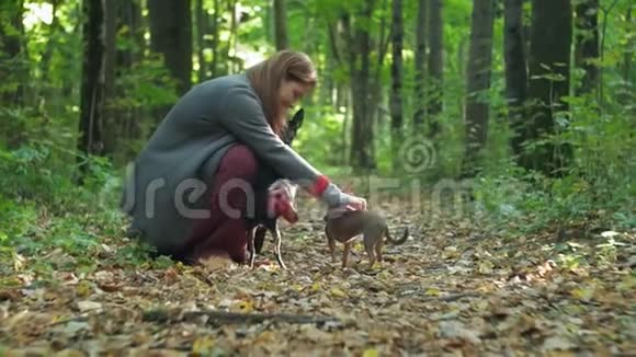 在森林里蹲着的女人抱着一只小狗视频的预览图