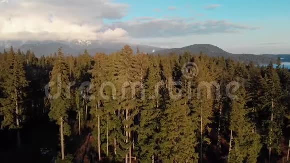 从北温的温哥华空中镜头直接越过森林朝深湾方向看视频的预览图