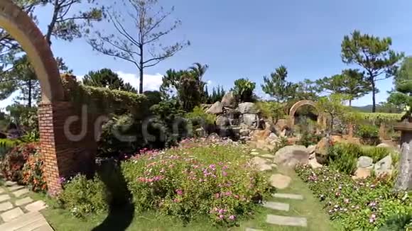 城市公园沉浸在鲜花和绿色植物中视频的预览图