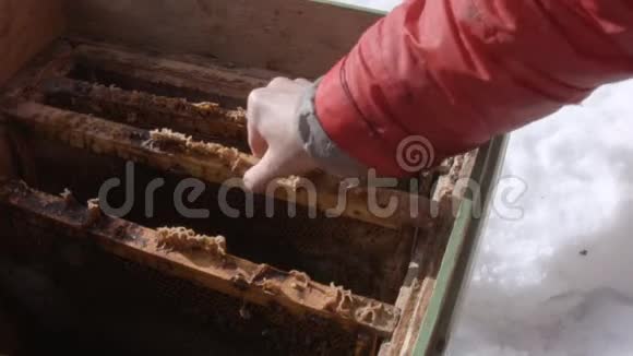 带着死蜜蜂检查空蜂箱的人视频的预览图