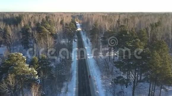 上观运动员沿着雪道在古老的树林中奔跑视频的预览图