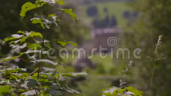 郁郁葱葱的绿野中的建筑景观视频的预览图