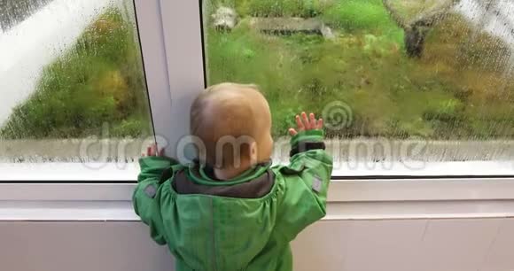 婴儿在看温室里植物和苔藓是如何生长的视频的预览图