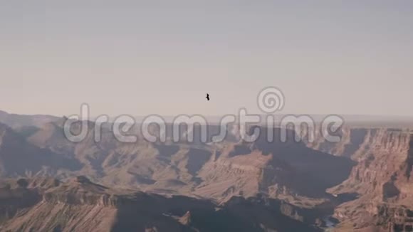 令人惊叹的大鹰全景背景拍摄飞越壮丽的大峡谷国家公园美国史诗般的阳光视野视频的预览图