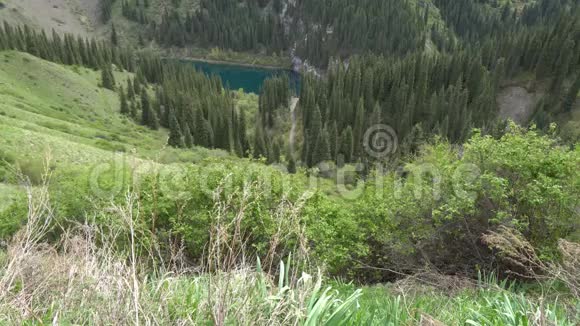 凯恩迪湖景视频的预览图