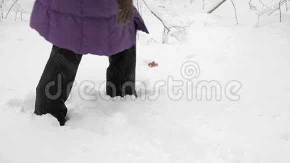 穿着黑色裤子的女性腿艰难地穿过新鲜的深雪堆视频的预览图