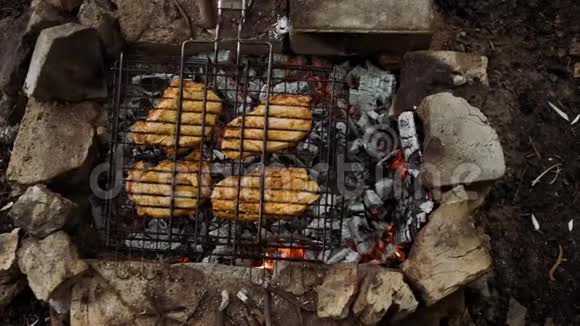 户外朋友聚会烧烤炉上美味的烧烤食品视频的预览图