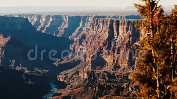 美丽的背景拍摄松树在雄伟的阳光山在惊人的大峡谷国家公园亚利桑那州美国视频的预览图
