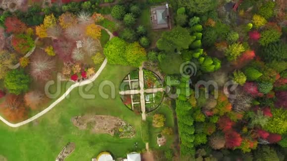 有红黄绿叶的花园的无人机鸟瞰视频的预览图