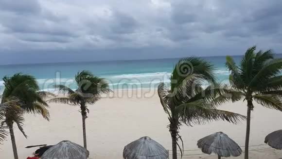 在墨西哥的昆塔纳罗奥市的热带沙滩上的茅屋和棕榈树加勒比海的海边视频的预览图