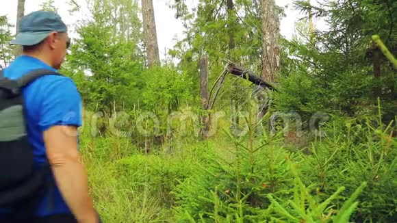 一个戴眼镜的游客背着背包穿过森林里的灌木丛视频的预览图