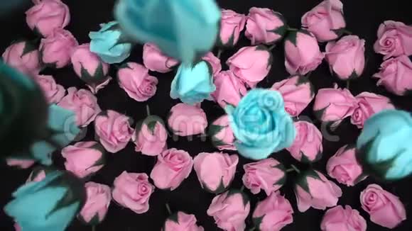 情人节或周年纪念期间浪漫的航班鲜艳的玫瑰视频的预览图