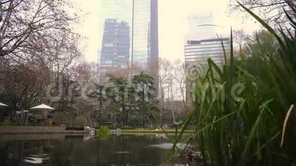 中国上海市中心摩天大楼背景下的池塘公园视频的预览图