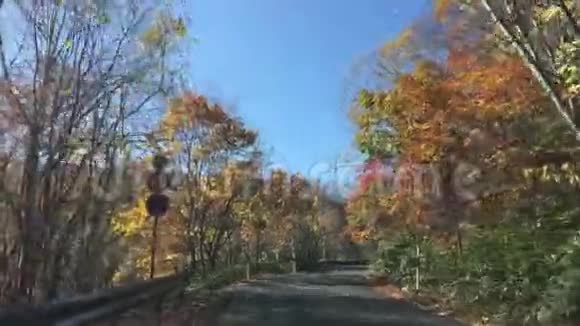 在北海道开车视频的预览图