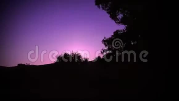 惊慌的紫色日落视频的预览图