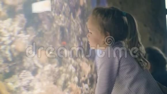 可爱的小女孩看着热带鱼在海洋馆的海底世界游泳视频的预览图
