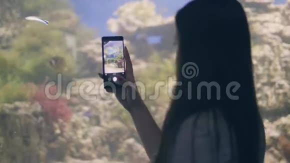 年轻女子在海洋馆拍摄海底世界游泳的移动视频鱼视频的预览图