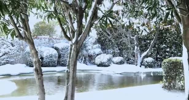 白雪覆盖的花园视频的预览图