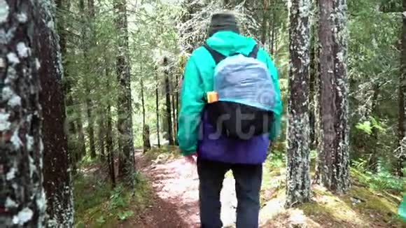 在森林里有照片设备的探险者库存录像携带背包和照片设备的旅行者去远足视频的预览图