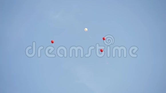 气球在天空中飞得很高行动红色的气球飞向蓝天的蓝色高地节日装饰的形式视频的预览图