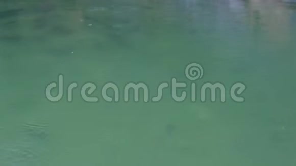 暴雨时一滴雨落在河里水滴在绿水上特写镜头强降雨视频的预览图