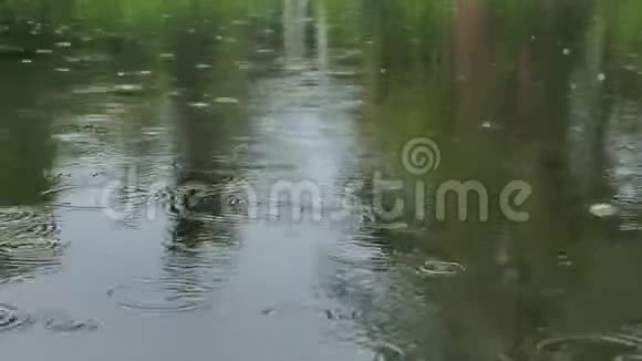 雨水落在绿茵环绕的湖面上视频的预览图
