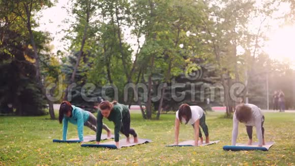 秋日一群年轻女士在公园户外练习瑜伽灵活的女孩在垫子上锻炼人民视频的预览图