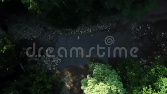 一条平静的河流在茂密的树木上飞舞视频的预览图