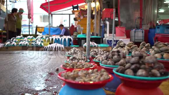4在釜山销售新鲜八达通及蛤蜊的韩国卖家供应商视频的预览图