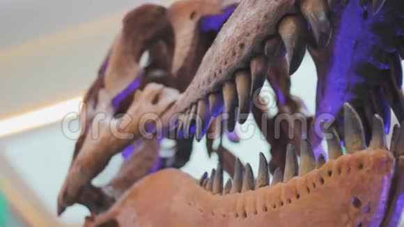 恐龙牙齿侏罗纪食肉动物颚骨视频的预览图
