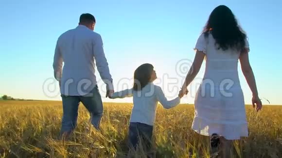 和小男孩一起在麦田里散步的快乐家庭妈妈爸爸儿子暑假玩得开心视频的预览图