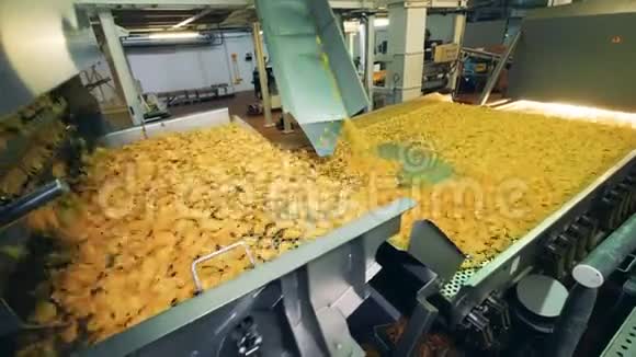在食品生产设施里装满薯片的大输送机视频的预览图