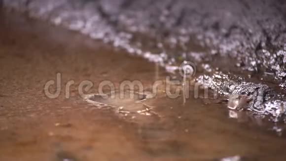 一滩脏水视频的预览图