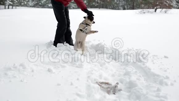 那个玩玩具的女人和她在大雪中打鼓的女人视频的预览图