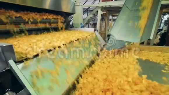 工厂输送机在一个特殊的设施移动马铃薯薯片视频的预览图