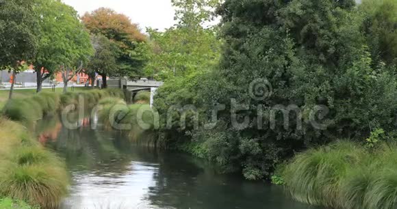 新西兰克赖斯特彻奇市中心的河景视频的预览图