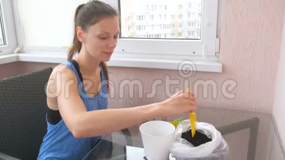 植物护理理念女人在种房子用一个小小的炫耀把地球移到一个罐子里侧视视频的预览图
