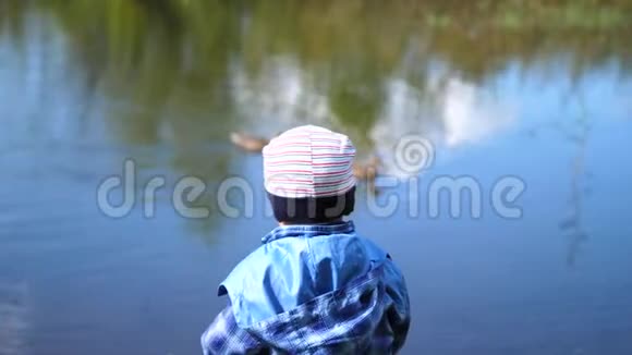 那个孩子坐在公园湖边的一张长凳上野鸭在湖上游泳美丽的风景之地在路上行走视频的预览图