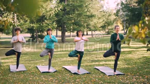 在秋天公园里的瑜伽垫上保持平衡和姿势树的位置视频的预览图