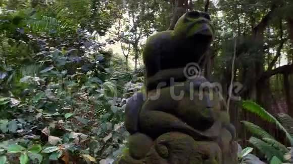 巴厘岛猴林古石像视频的预览图