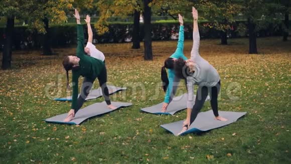 女瑜伽生们正在公园锻炼身体享受秋天的自然和体育活动视频的预览图