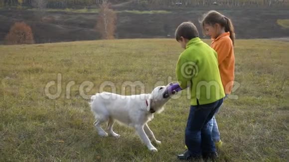 两个孩子在球场上玩金毛猎犬视频的预览图