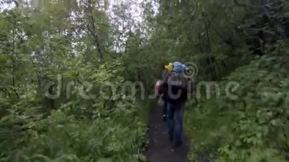 带背包的旅行者在森林小径上行走的后景库存录像旅行者沿着狭窄的地方互相跟随视频的预览图