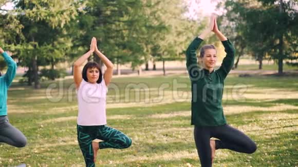 有魅力的女运动员在户外瑜伽课程中一条腿平衡发展力量和平衡绿色公园视频的预览图
