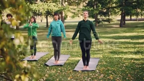 秋天一群年轻女性在公园户外练习瑜伽女孩们站在明亮的垫子上弯着腰视频的预览图