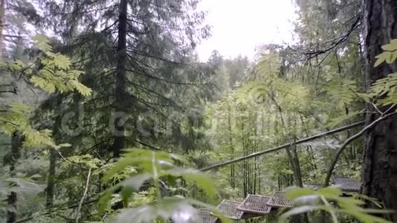 绿色森林中的铁楼梯库存录像在多云的天空背景下在森林中轻松攀登的旅游铁楼梯视频的预览图