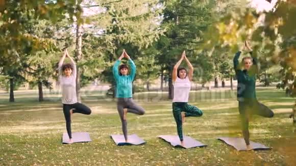 年瑜伽课上美女瑜珈师站在瑜伽垫上摆成树形双臂举在胸前视频的预览图