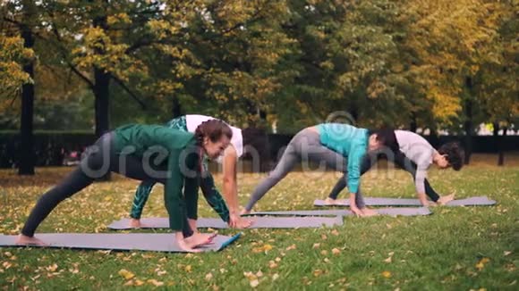 瑜伽课在公园里做伸展运动享受秋天的自然新鲜的空气和体育活动福祉视频的预览图