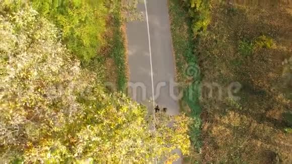 秋季森林中两名跑步者的鸟瞰图视频的预览图